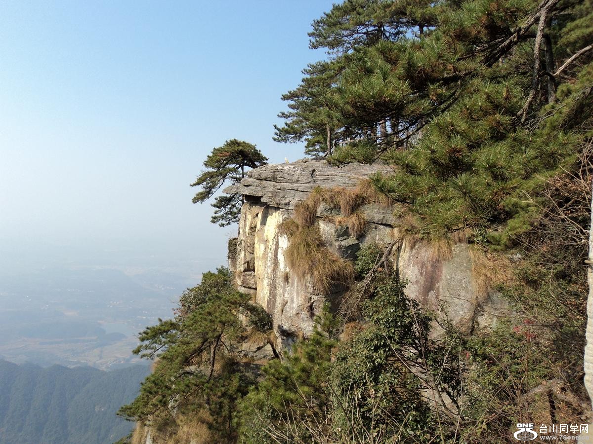 ��Ƭ�� 249.jpg