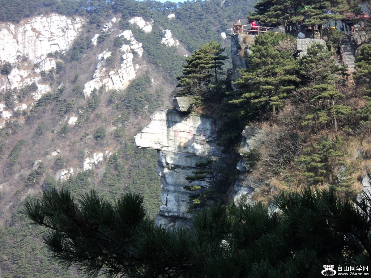 ��Ƭ�� 231.jpg