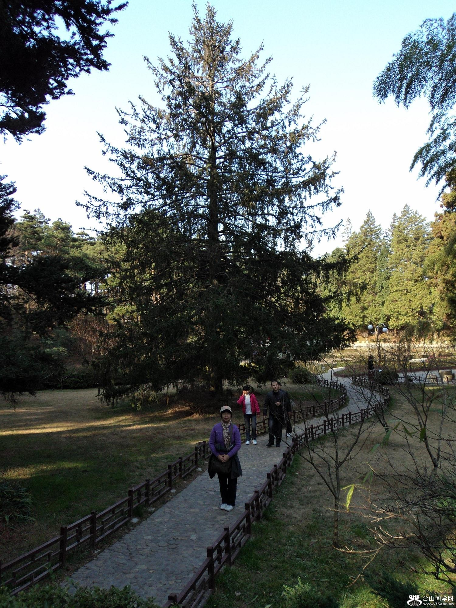 ��Ƭ�� 193.jpg