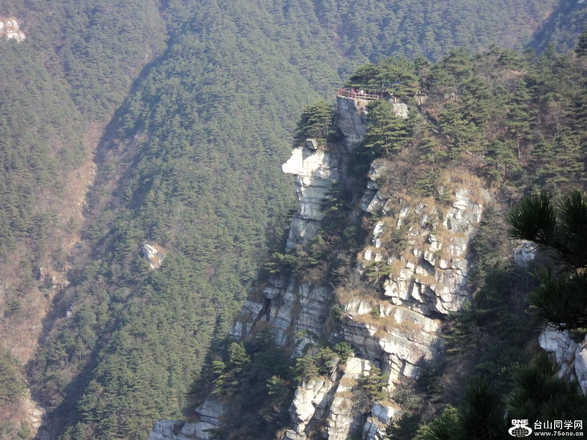 ��Ƭ�� 232.jpg