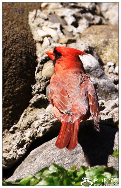 }u -ձ@12-3 215-a.jpg