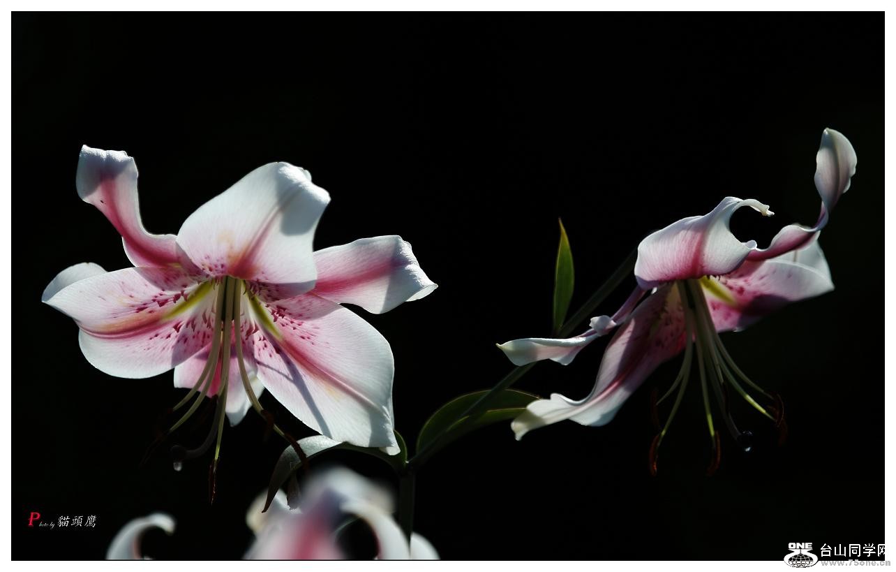 }u -5d3ԇC 150-a.jpg