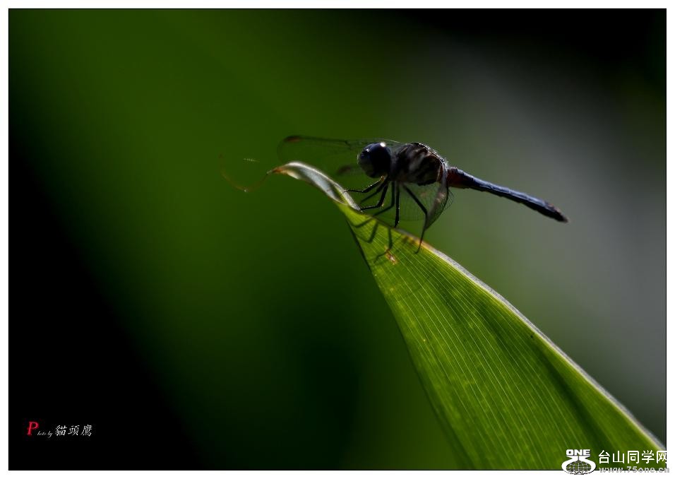 }u -5d3ԇC 183-a.jpg