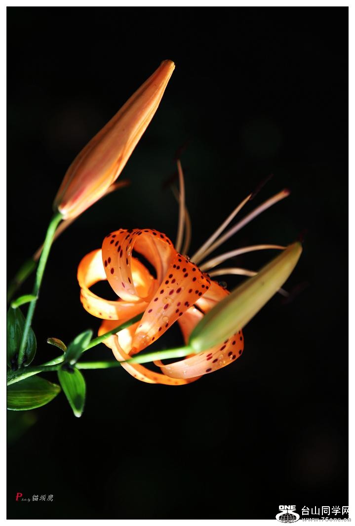 }u -5d3ԇC 219-a.jpg