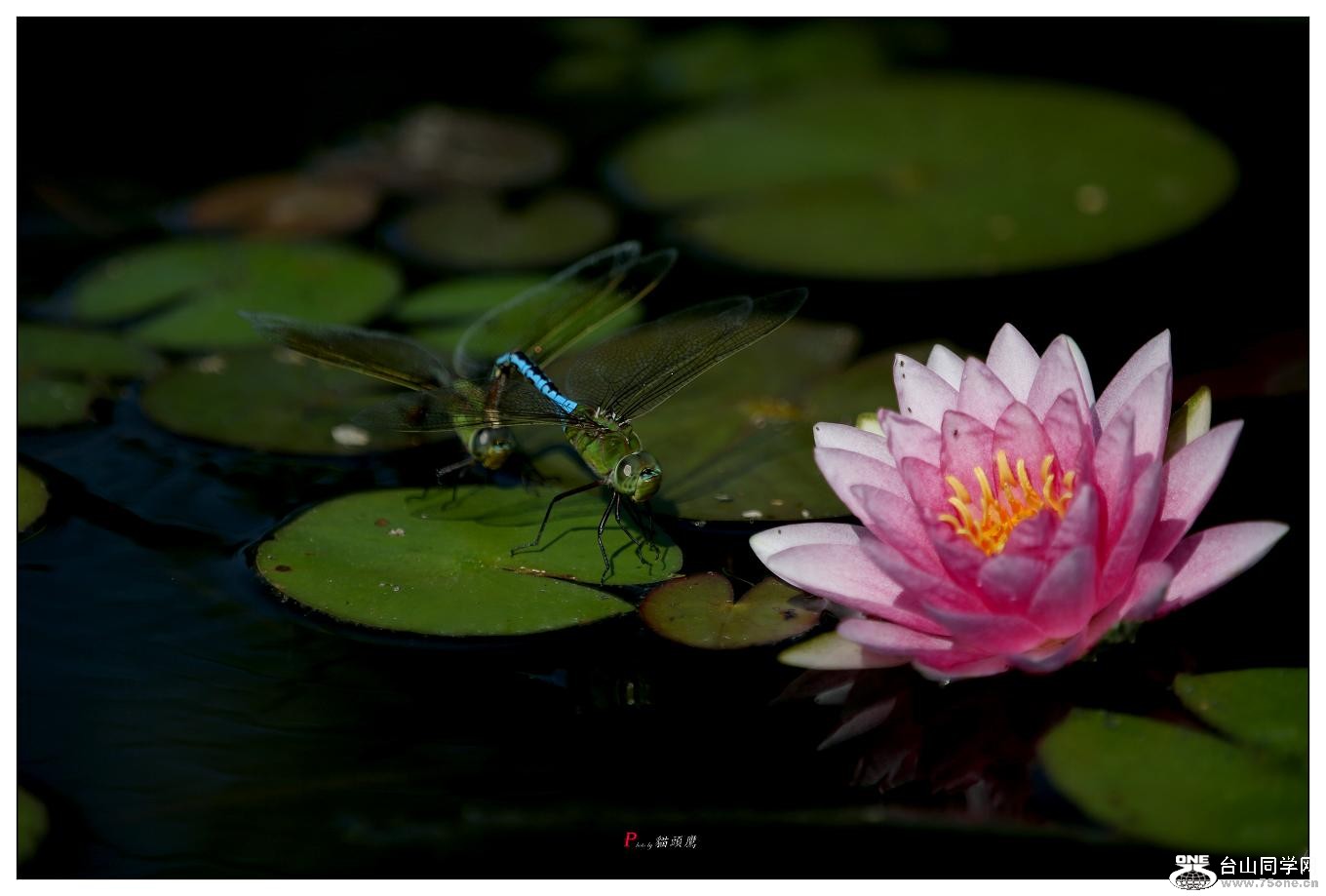 }u -5d3ԇC 113-2.jpg