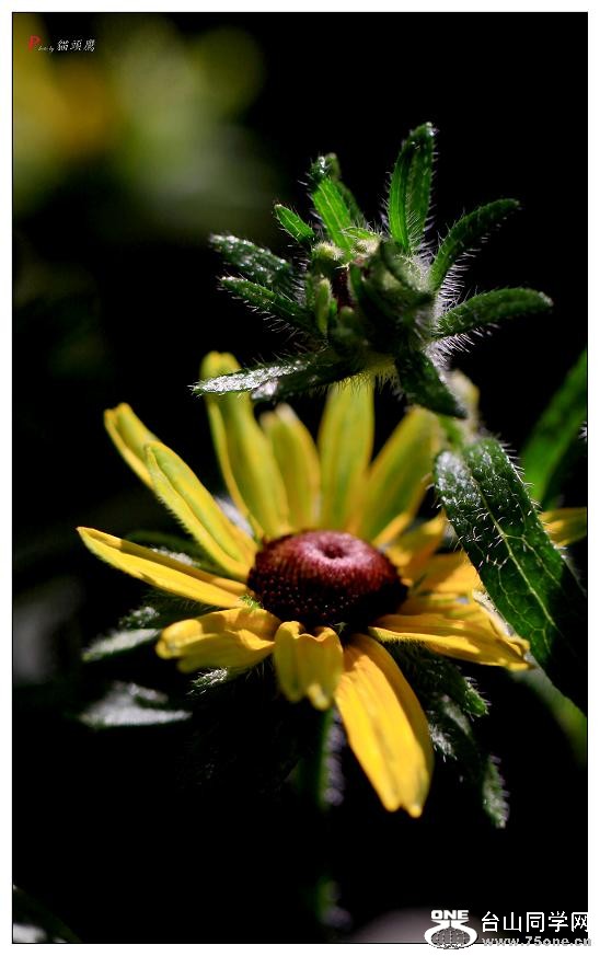 }u -ֻ߽-1 085-a.jpg