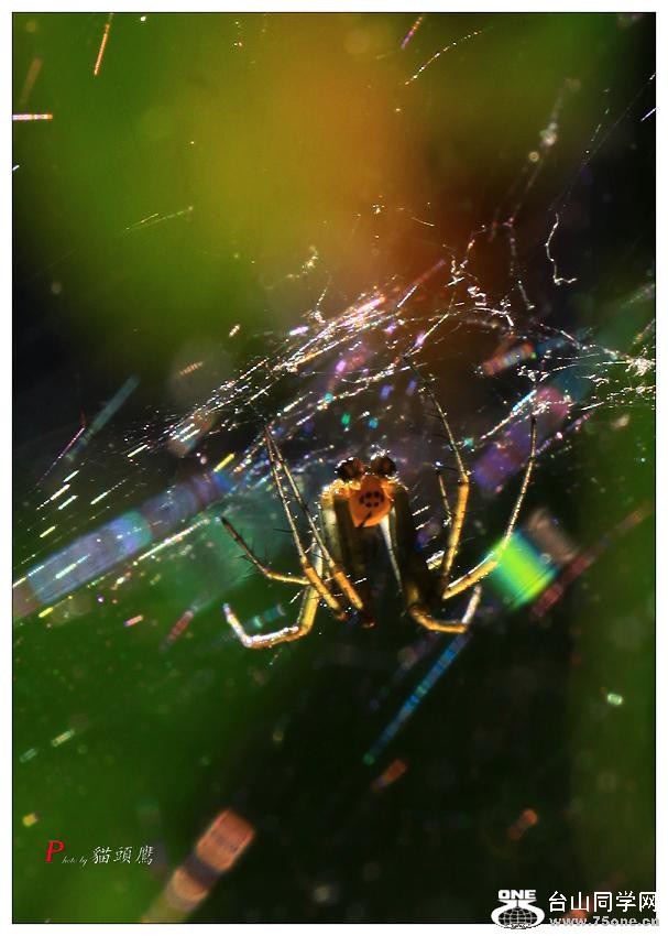 }u -}u -ɻ-1 056-c.jpg