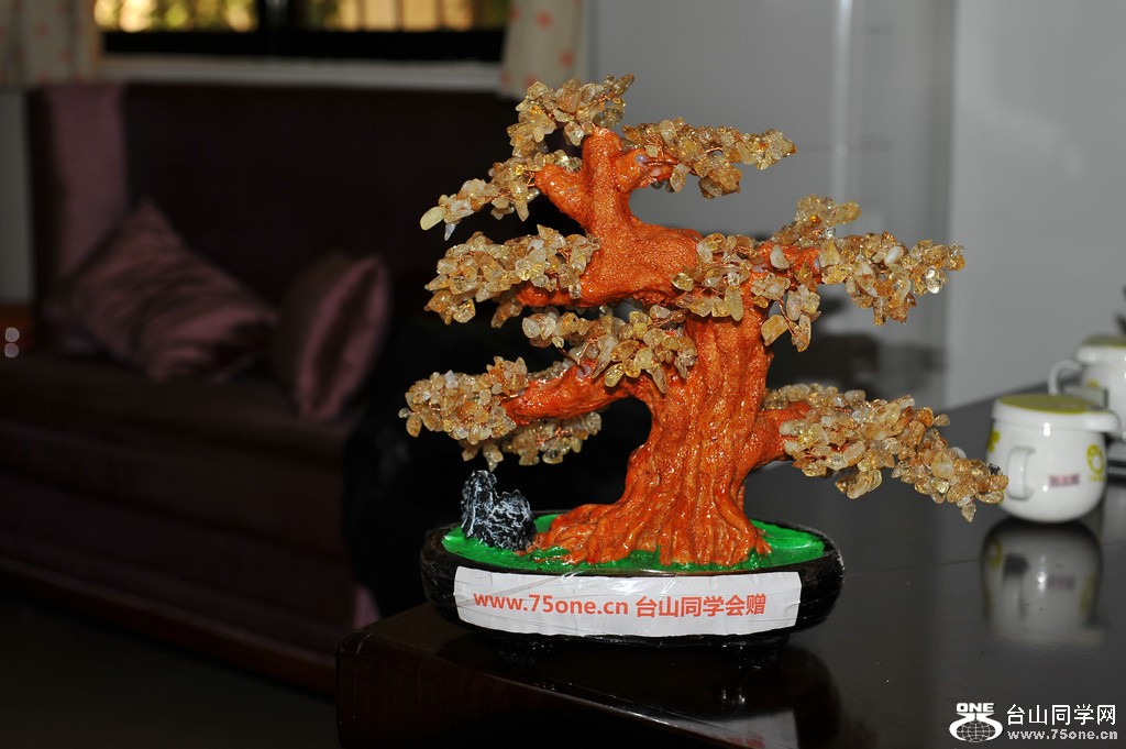 DSC_3313.JPG