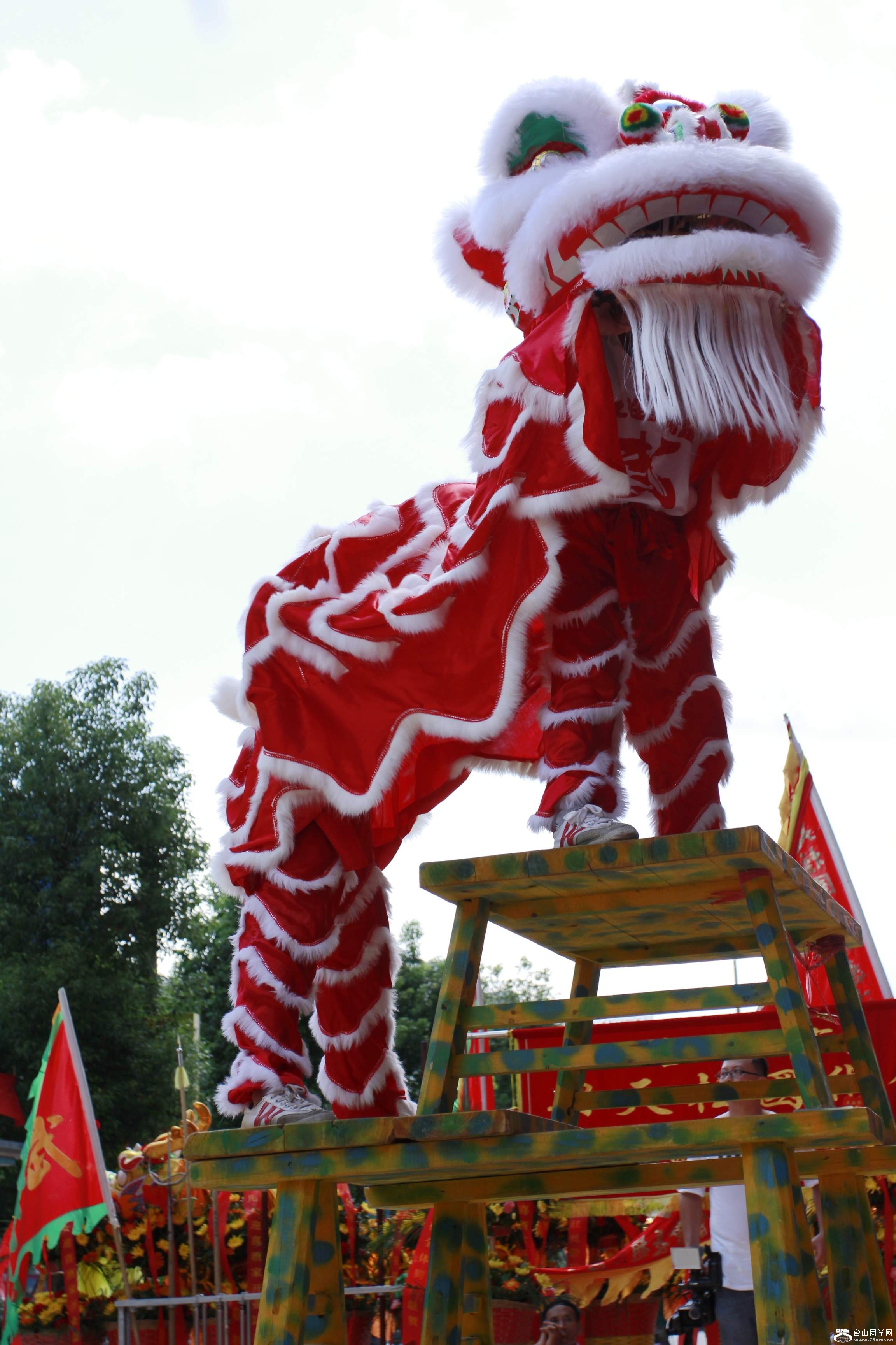 _MG_7834.jpg