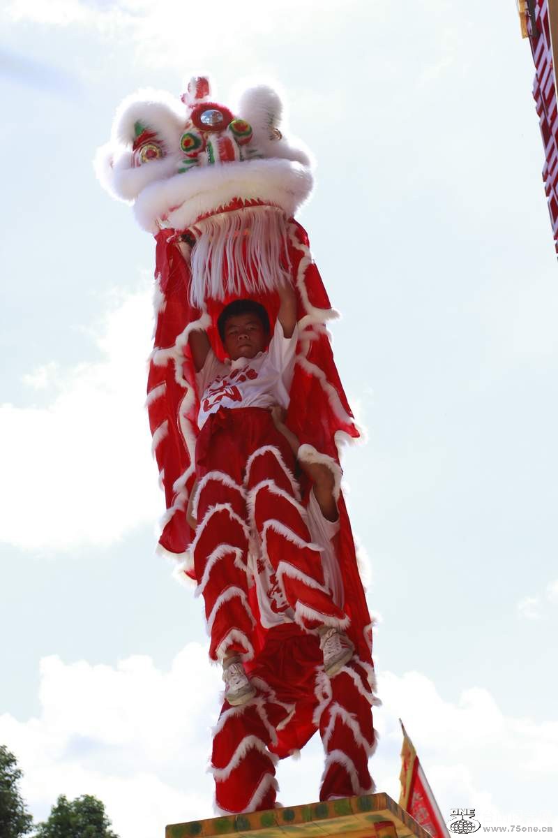_MG_7837.jpg