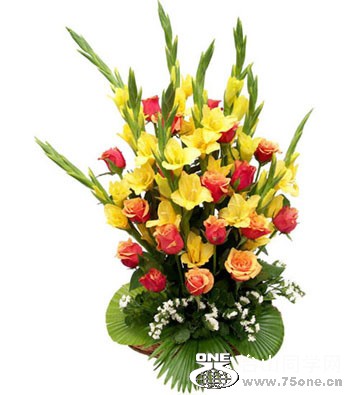 rosesgladsmix.jpg