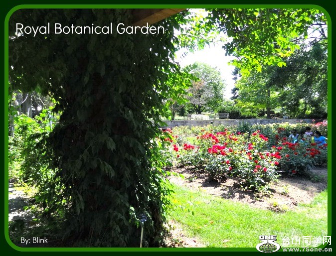 Royal Botanical Garden 20.jpg