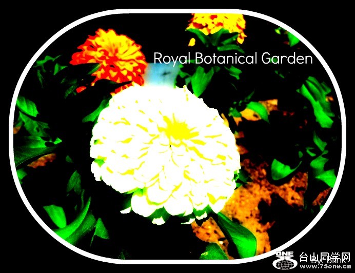 Royal Botanical Garden 28.jpg