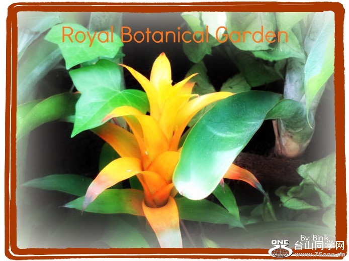 Royal Botanical Garden 37.jpg