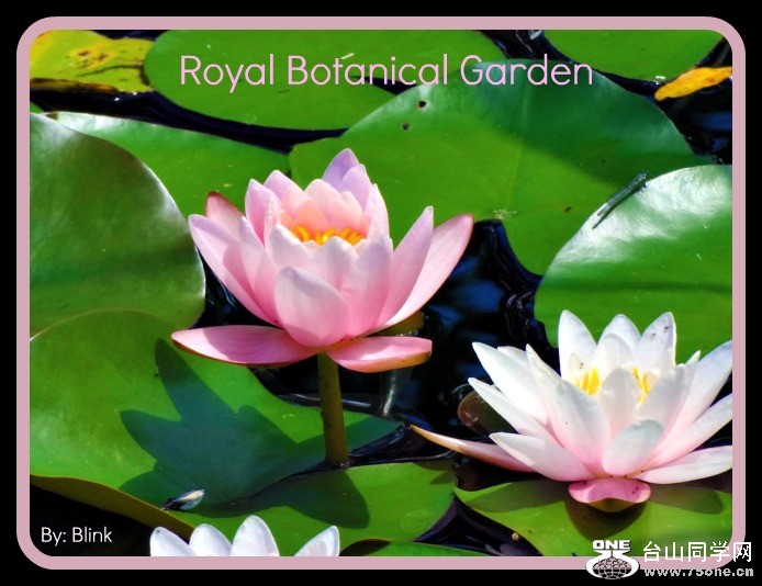 Royal Botanical Garden 44.jpg