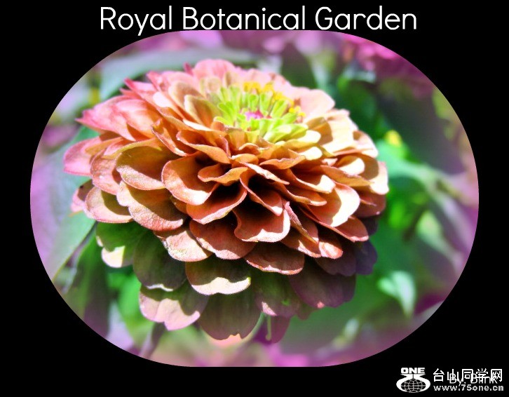 Royal Botanical Garden 32.jpg