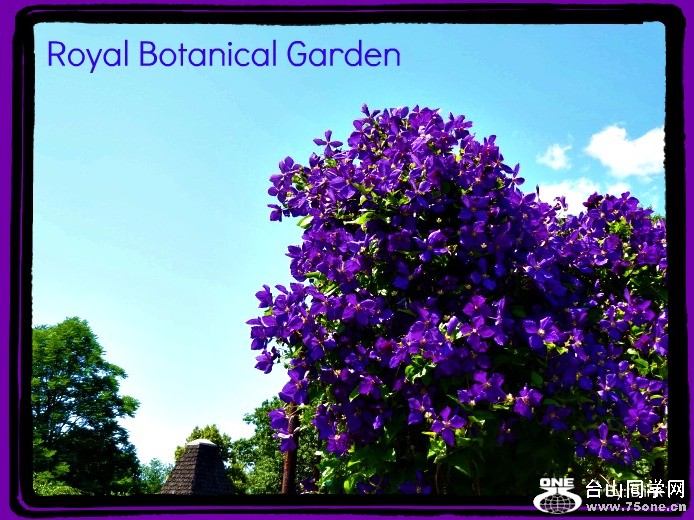 Royal Botanical Garden 21.jpg