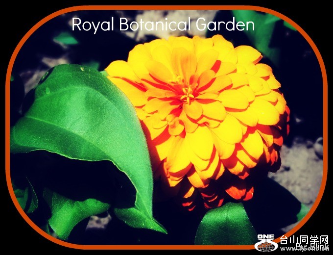 Royal Botanical Garden 29.jpg
