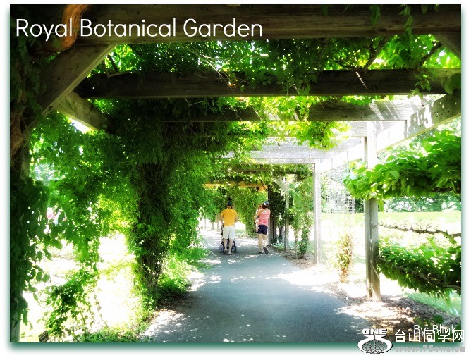 Royal Botanical Garden 19.jpg