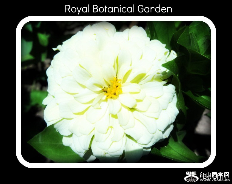 Royal Botanical Garden 31.jpg