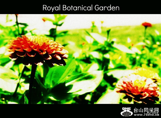 Royal Botanical Garden 33.jpg