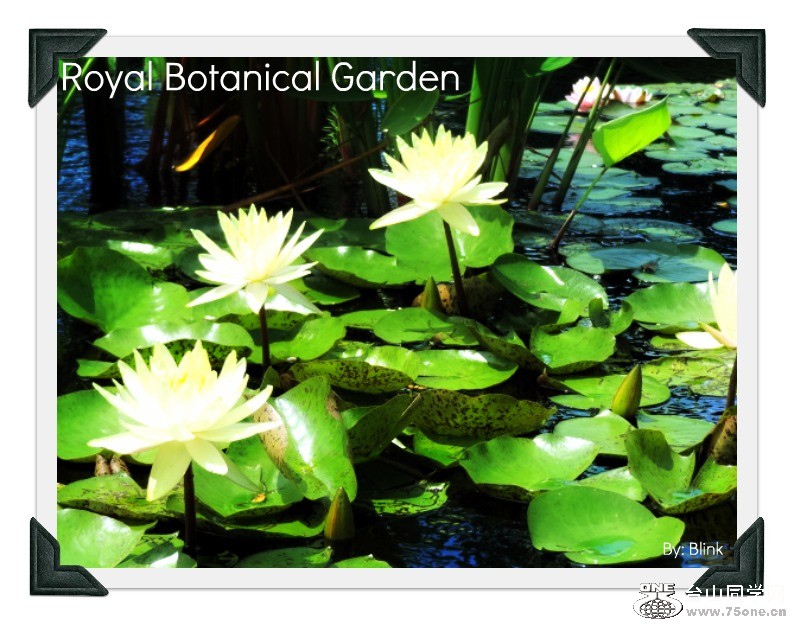 Royal Botanical Garden 46.jpg