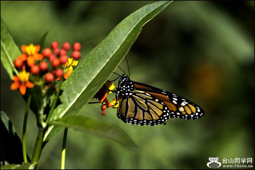 20120719_1652-3.jpg