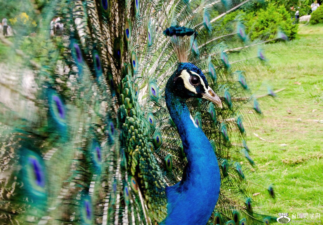 DSC_4327.jpg
