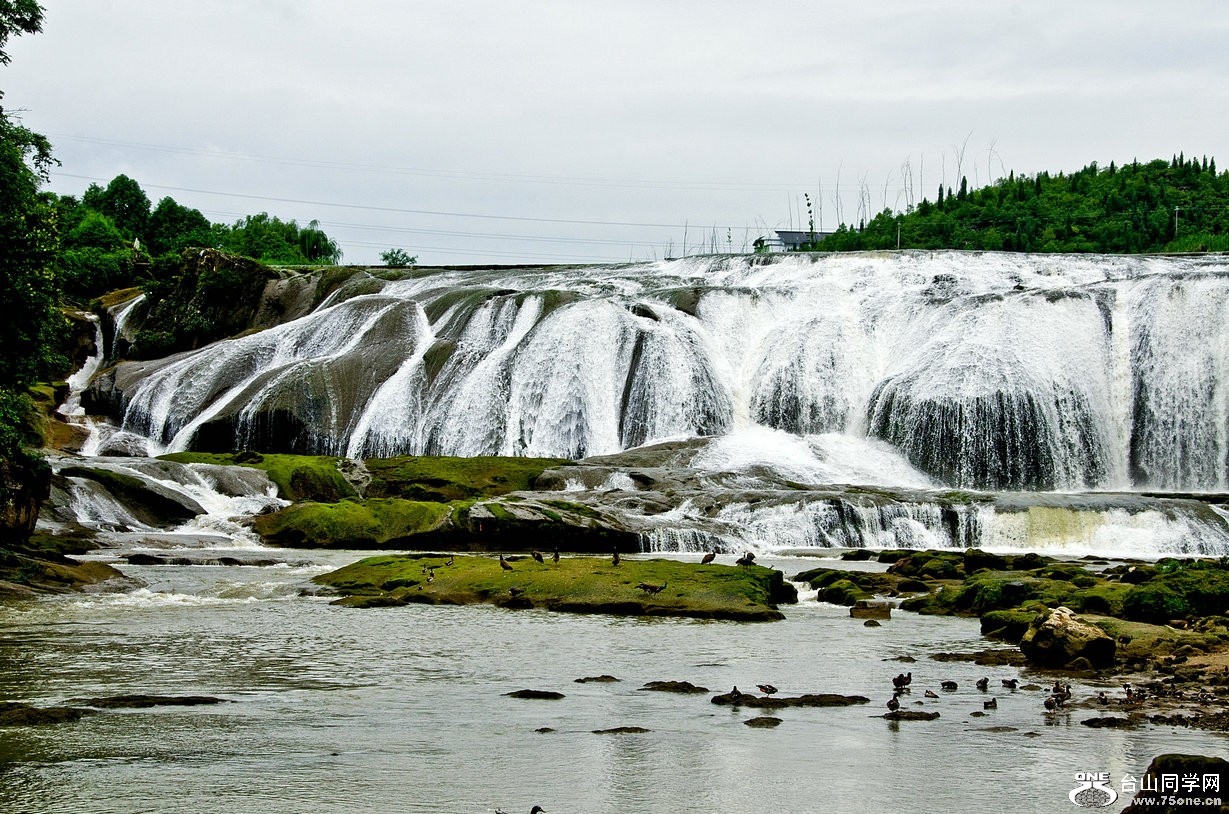 DSC_4241.jpg