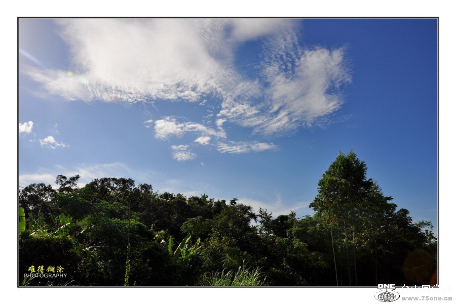 DSC_0221.jpg