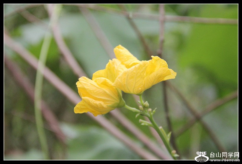IMG_4167_.jpg