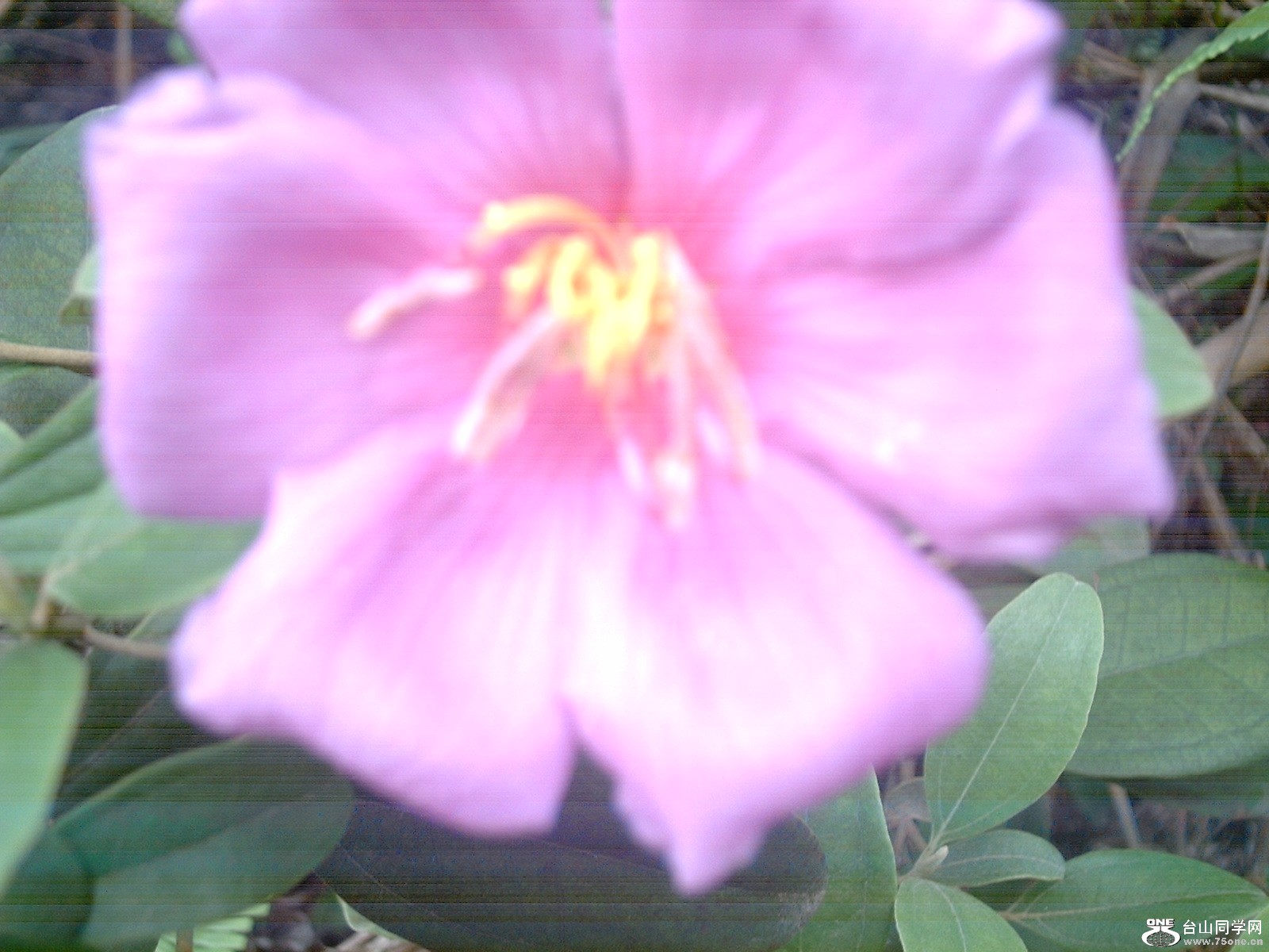 DSC_0710.JPG