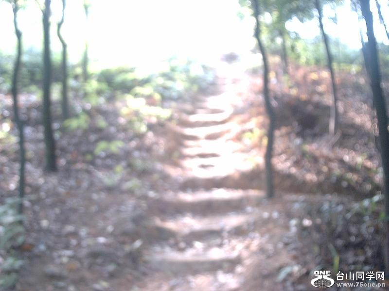 DSC_0602.JPG