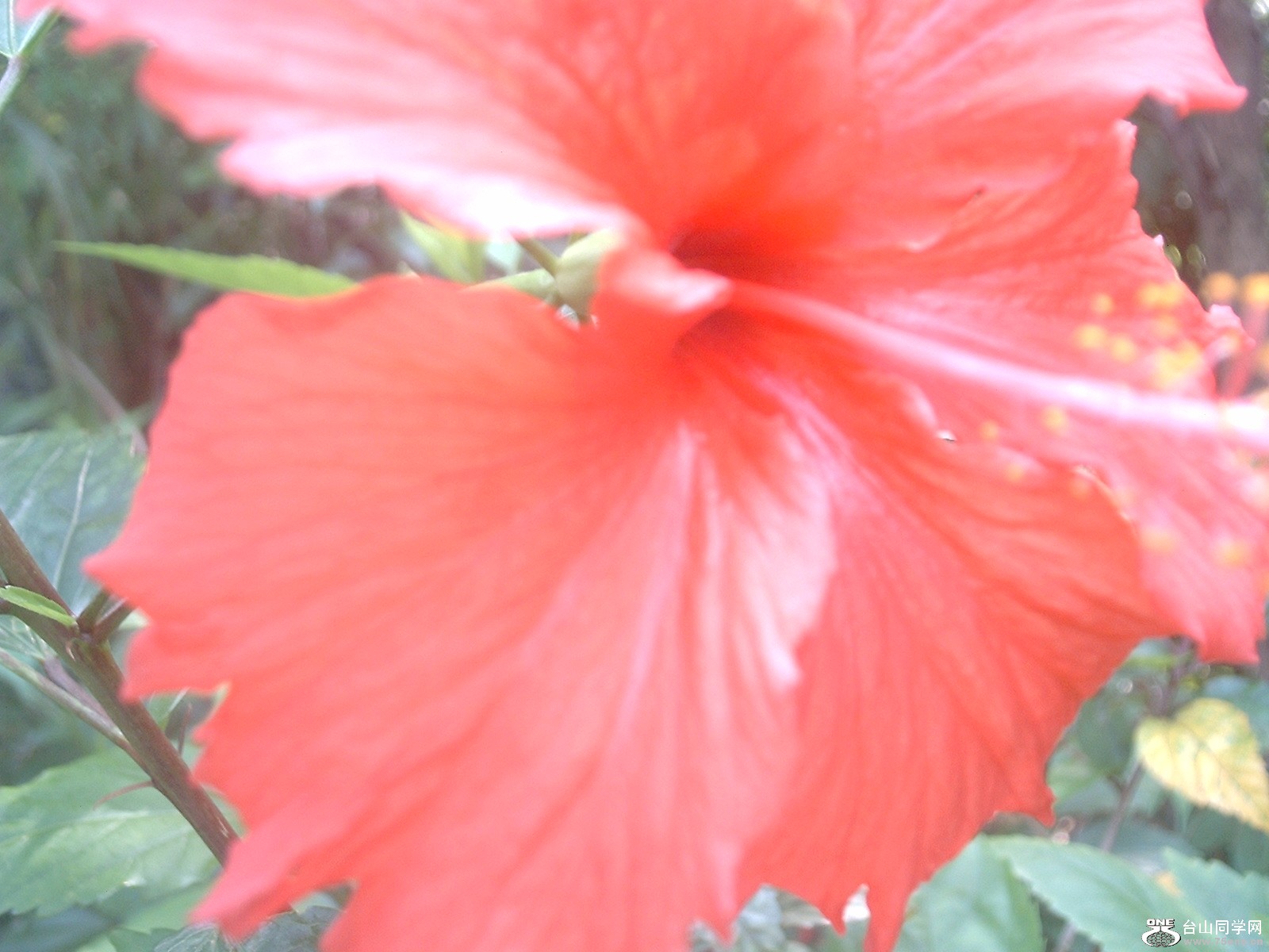 DSC_0706.JPG