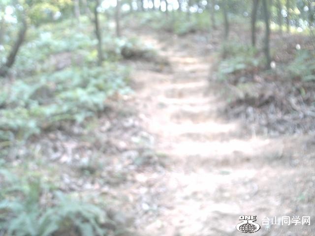 DSC_0613.JPG