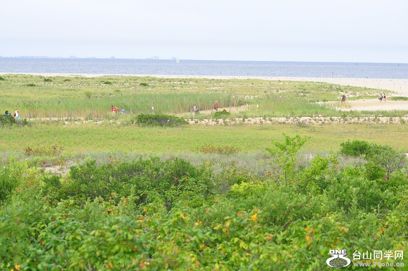 DSC_0143_.jpg