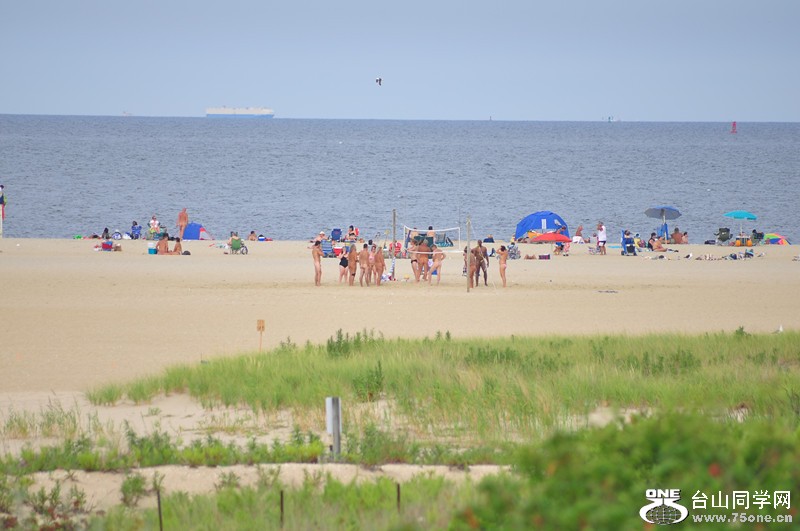 DSC_0144_.jpg