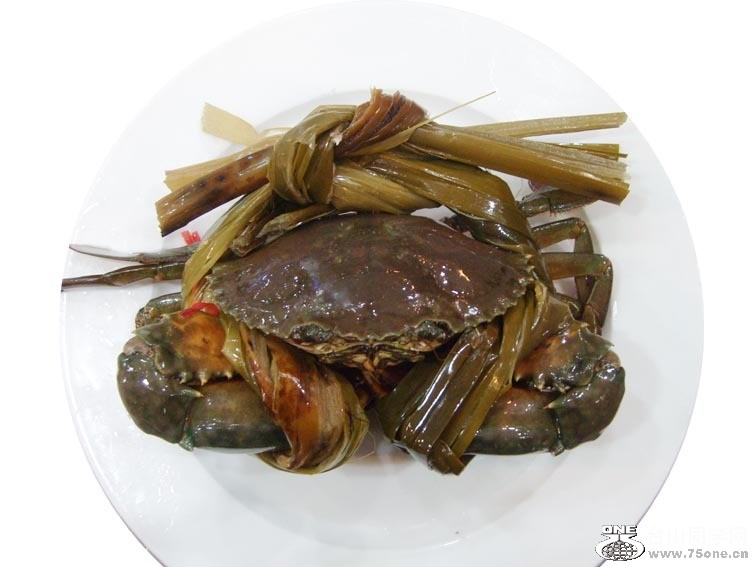 2010021864075025.jpg