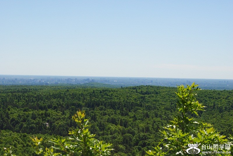 DSC_3254.JPG