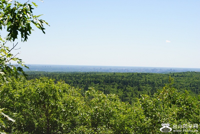 DSC_3272.JPG