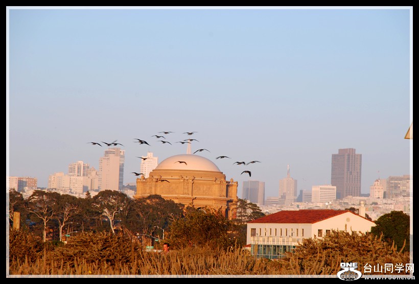 DSC_0100_���� 1.jpg