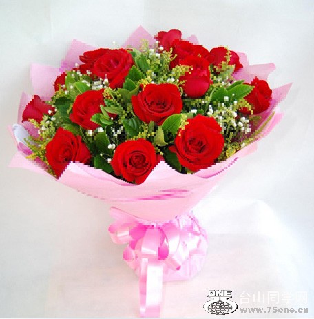201008290421046473.jpg