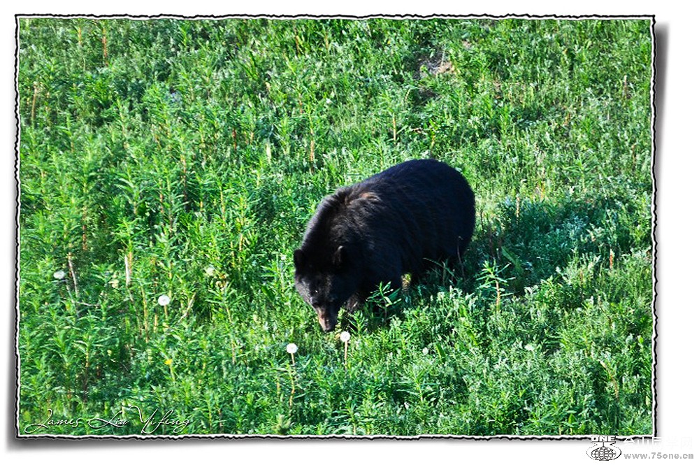 DSC_3022-Banff-İ฻ҹ@.jpg