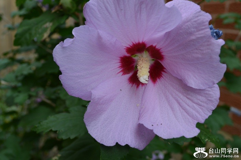 DSC_1723.JPG