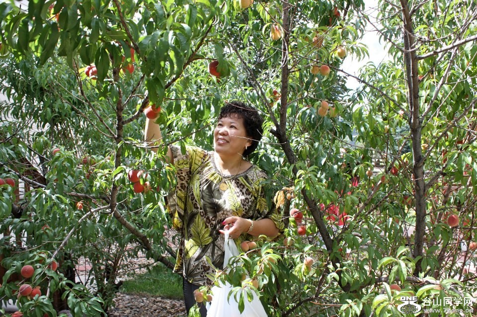 2012090311.jpg