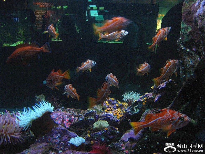 IMG_0193_.jpg