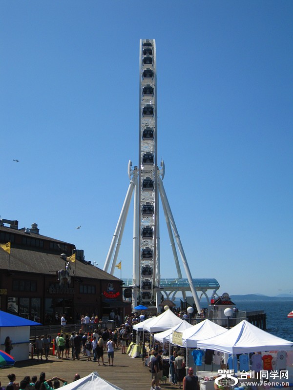 IMG_0243_.jpg