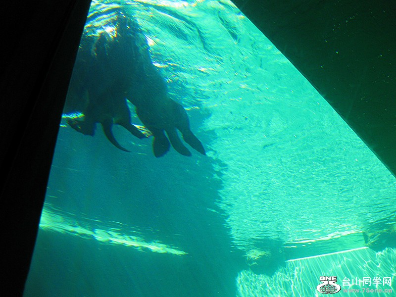 IMG_0211_.jpg