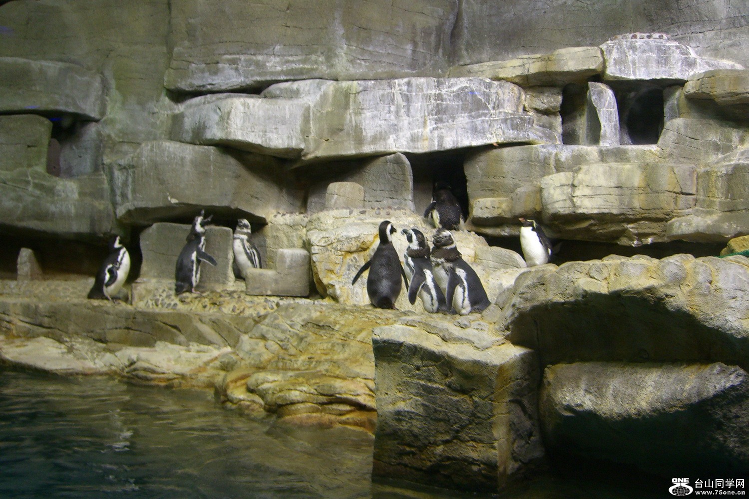 9503-֥Ӹ ˮ2011.9.20.&nbsp;&nbsp;(125).JPG
