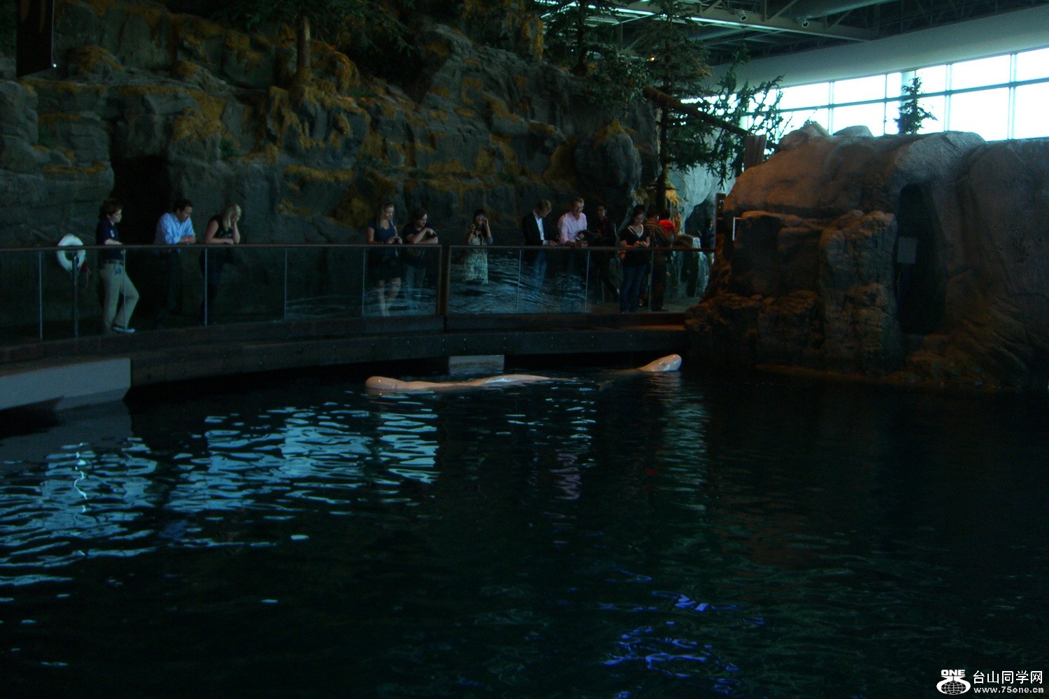 9503-֥Ӹ ˮ2011.9.20.&nbsp;&nbsp;(129).JPG
